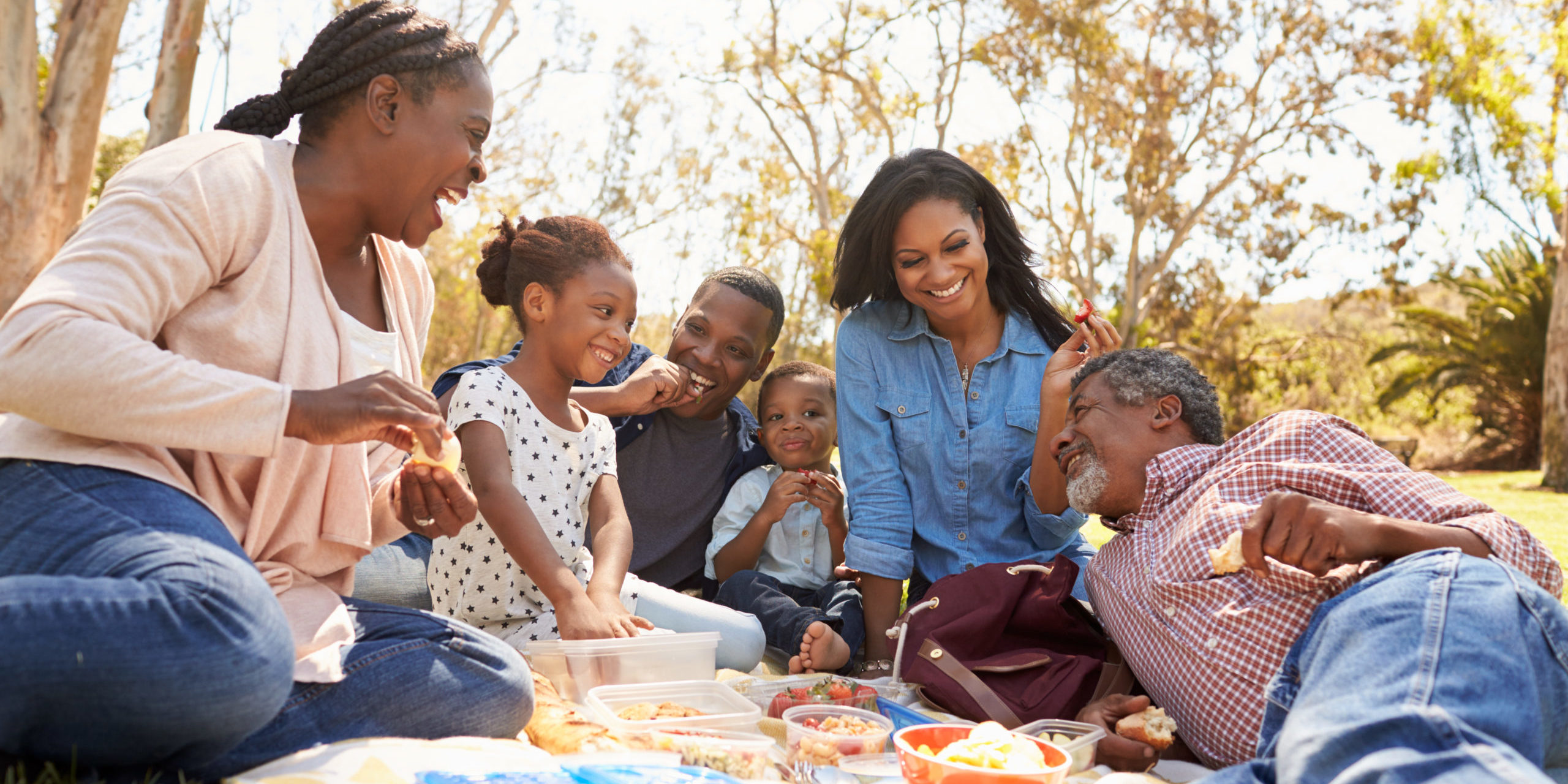 Multi,Generation,Family,Enjoying,Picnic,In,Park,Together