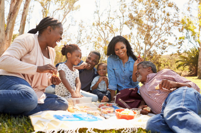 Multi,Generation,Family,Enjoying,Picnic,In,Park,Together