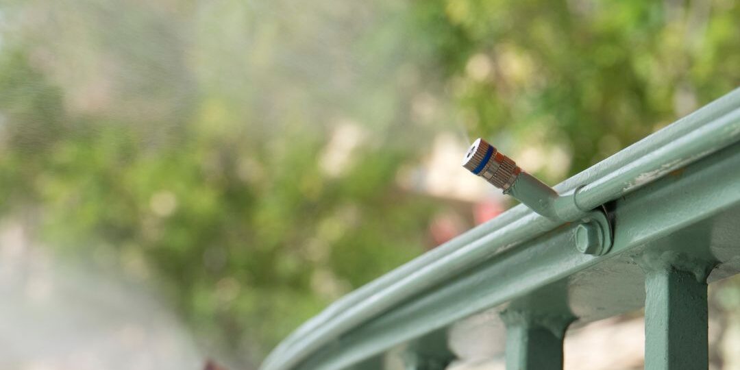 Keeping Mosquitoes at Bay Effective Backyard Mosquito Control