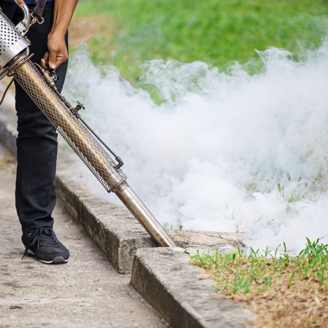 Mastering Mosquito Control A Comprehensive Guide to Mosquito Yard