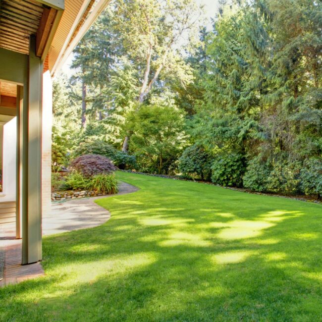 Master Your Yard- Mosquito Control with Mosquitonix