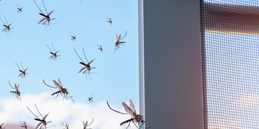 What Is The Best Thing To Keep Mosquitoes Away From Outside?
