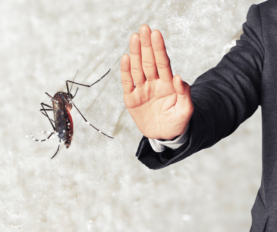 Mastering Mosquito Control Your Guide to the Best Mosquito Treatment