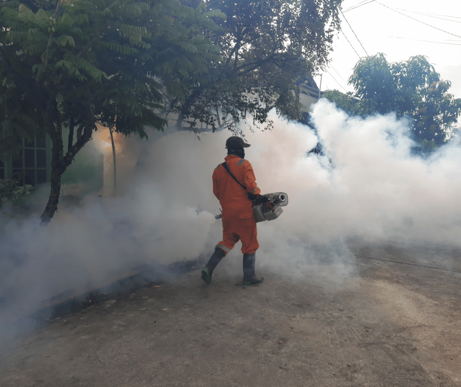 Fumigation for Mosquitoes Effective Solutions and Safety Tips by