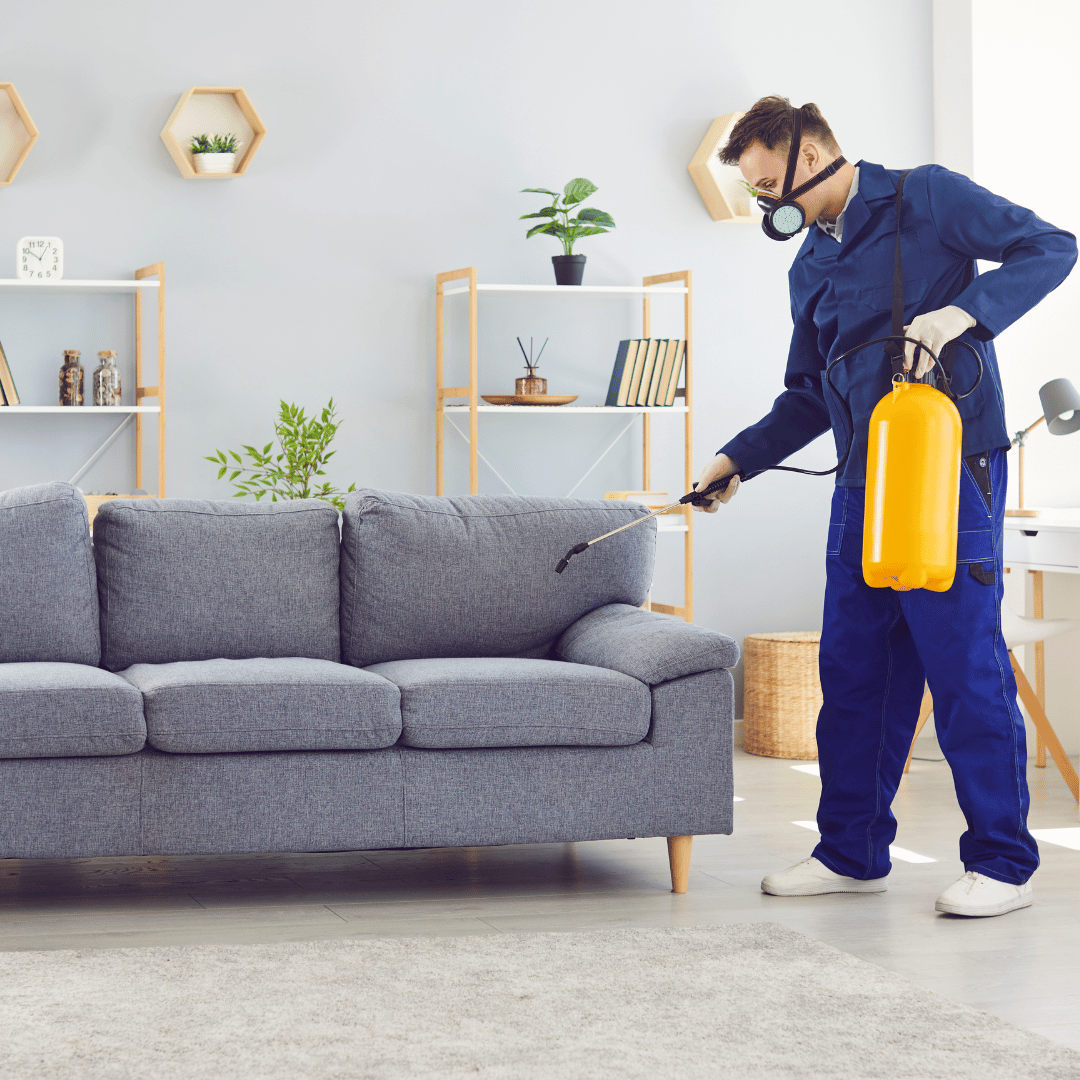 The Ultimate Guide to Choosing the Best Mosquito Control Companies ...